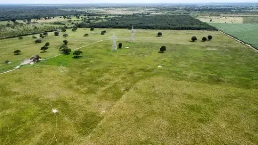 Fazenda/Sítio com 3 Quartos à venda, 1420000m² no , Macaíba