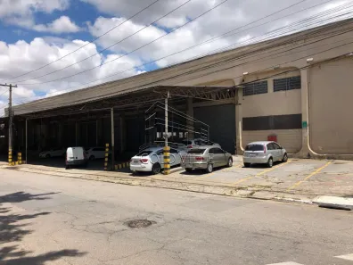 Galpão/Depósito/Armazém para alugar, 4500m² no Vila Ribeiro de Barros, São Paulo