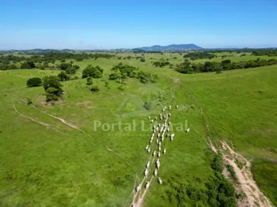 Fazenda/Sítio à venda, 200m² no São Vicente de Paula, Araruama
