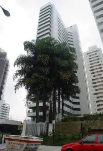 Apartamento com 4 Quartos à venda, 275m² no Aclimação, São Paulo