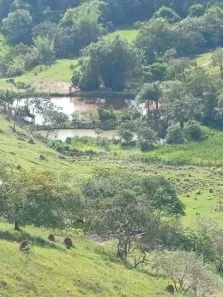 Lote/Terreno à venda, 484000m² no Chácara Germana, Caçapava