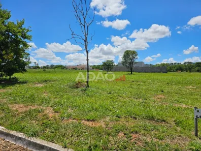Fazenda/Sítio à venda, 1800m² no , Bela Vista de Goiás