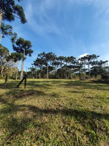 Lote/Terreno à venda, 8142m² no Campo Alegre, Campo Alegre
