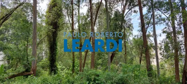 Lote/Terreno à venda, 290m² no Vila Andrade, São Paulo