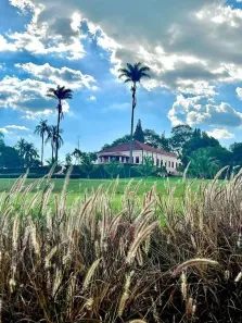 com 3 Quartos à venda, 2800m² no Área Rural de Araraquara, Araraquara