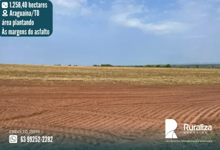 Fazenda/Sítio à venda, 780m² no Área Rural de Araguaína, Araguaína