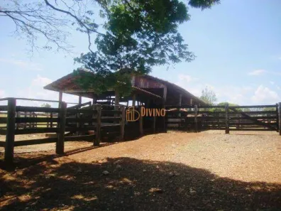 Fazenda/Sítio à venda, 1936000m² no , Quadra