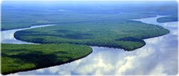 Fazenda/Sítio à venda, 11000000m² no Centro, Manaus
