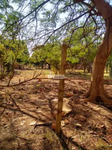 Fazenda/Sítio à venda, 1000m² no Morada dos Pássaros, Uberlândia