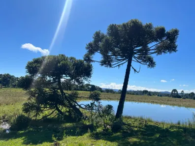 Lote/Terreno à venda, 20000m² no , Urubici