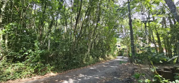 Lote/Terreno à venda, 2996m² no Lagoa da Conceição, Florianópolis