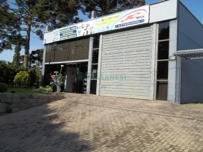 Galpão/Depósito/Armazém à venda, 375m² no Vila Germânia, Nova Petrópolis