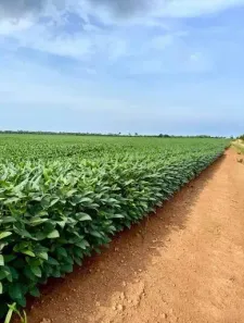 Fazenda/Sítio com 1 Quarto à venda, 24000000m² no , Vera