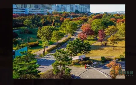 Lote/Terreno à venda, 250m² no Passagem da Conceição, Várzea Grande