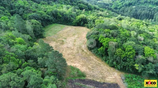 Fazenda/Sítio com 1 Quarto à venda, 200000m² no Pinhal Alto, Nova Petrópolis