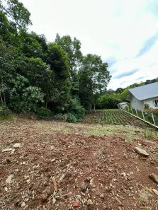 Lote/Terreno à venda, 20m² no Nova Petrópolis, Nova Petrópolis