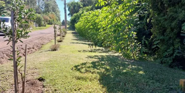 Lote/Terreno à venda, 408m² no Floresta, Picada Café