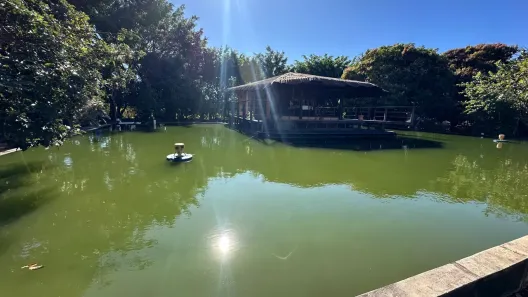 Fazenda/Sítio com 3 Quartos à venda, 20000m² no Núcleo Rural Lago Oeste, Brasília