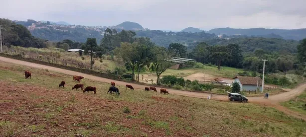 Lote/Terreno à venda, 574m² no Nova Petrópolis, Nova Petrópolis