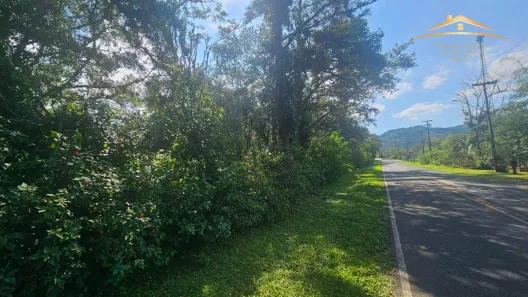 Lote/Terreno à venda, 10000m² no , Morretes