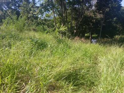 Fazenda/Sítio com 2 Quartos à venda, 80m² no Distrito Agroindustrial de Senador Canedo, Senador Canedo