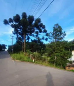 Lote/Terreno à venda, 516m² no De Zorzi, Caxias do Sul