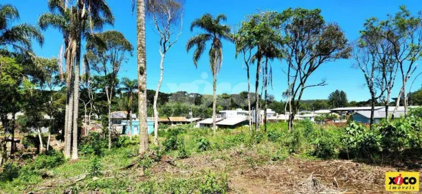Lote/Terreno à venda, 1787m² no , Nova Petrópolis