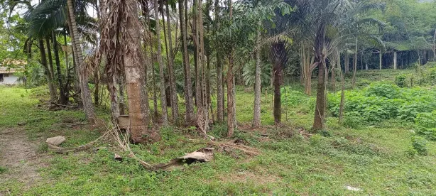 Lote/Terreno à venda, 23800m² no Guaratiba, Rio de Janeiro