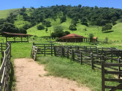 Fazenda/Sítio com 2 Quartos à venda, 145000m² no , Camanducaia