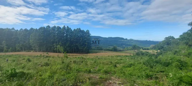 Lote/Terreno à venda, 20000m² no , Picada Café