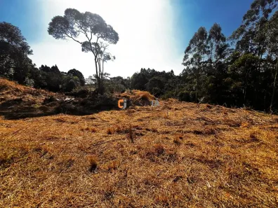 Lote/Terreno à venda, 10000m² no Vila Delurdes, Campo Largo