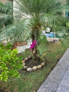 Casa de Condomínio com 3 Quartos à venda, 168m² no Bairro Alto, Curitiba