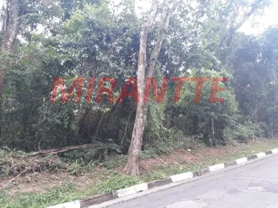 Lote/Terreno à venda, 1703m² no Caraguatá, Mairiporã