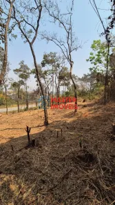 Lote/Terreno à venda, 1000m² no , Sarzedo