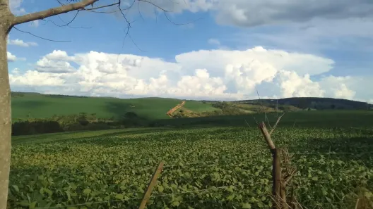Fazenda/Sítio com 1 Quarto à venda, 968000m² no , São Miguel Arcanjo