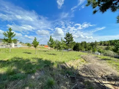 Lote/Terreno à venda, 3786m² no Loteamento Bosque Merhy, Quatro Barras