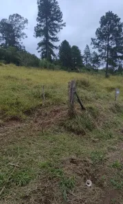 Fazenda/Sítio à venda, 400m² no Mundo Novo, Taquara