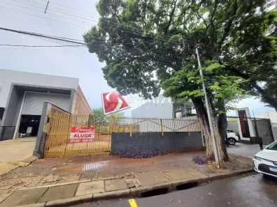 Lote/Terreno para alugar, 225m² no Jardim Alvorada, Maringá