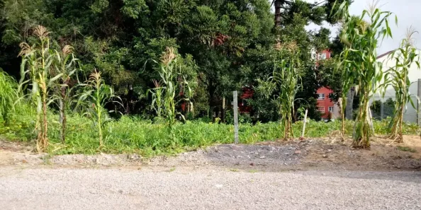 Lote/Terreno à venda, 361m² no Cidade Nova, Caxias do Sul