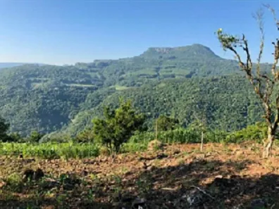 Lote/Terreno à venda, 80000m² no , Gramado