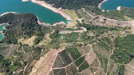 à venda, 540000m² no , Caconde