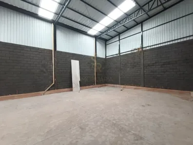 Galpão/Depósito/Armazém à venda, 230m² no Jardim Zara, Ribeirão Preto