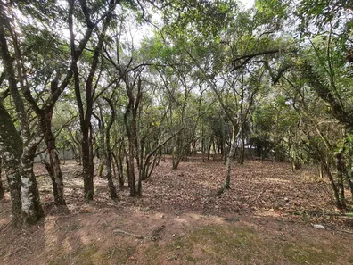 Lote/Terreno à venda, 1575m² no Vila de São Fernando, Cotia