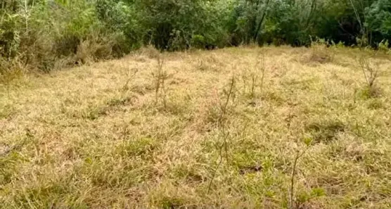Lote/Terreno à venda, 3000m² no , Bom Repouso