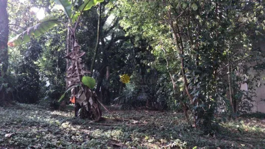 Lote/Terreno à venda, 522m² no Anchieta, São Bernardo do Campo