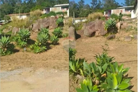 Lote/Terreno à venda, 287m² no São João (Margem Direita), Tubarão