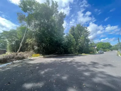 Lote/Terreno à venda, 803m² no Tarumã, Manaus