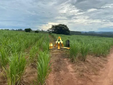 Fazenda/Sítio com 1 Quarto à venda, 100m² no Guarapiranga, Ribeirão Bonito