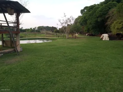 Fazenda/Sítio com 3 Quartos à venda, 24200m² no Área Rural de Jaguariúna, Jaguariúna