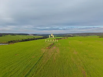 Fazenda/Sítio com 4 Quartos à venda, 6350000m² no Santa Rosa, Formosa